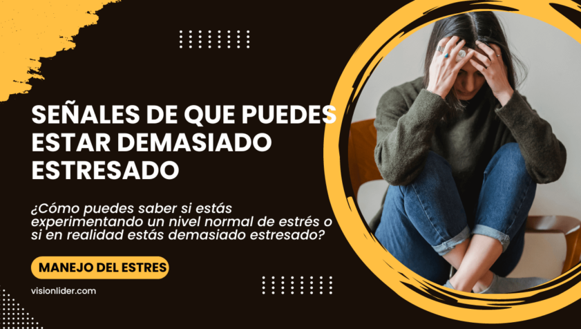 Señales de que puedes estar demasiado estresado